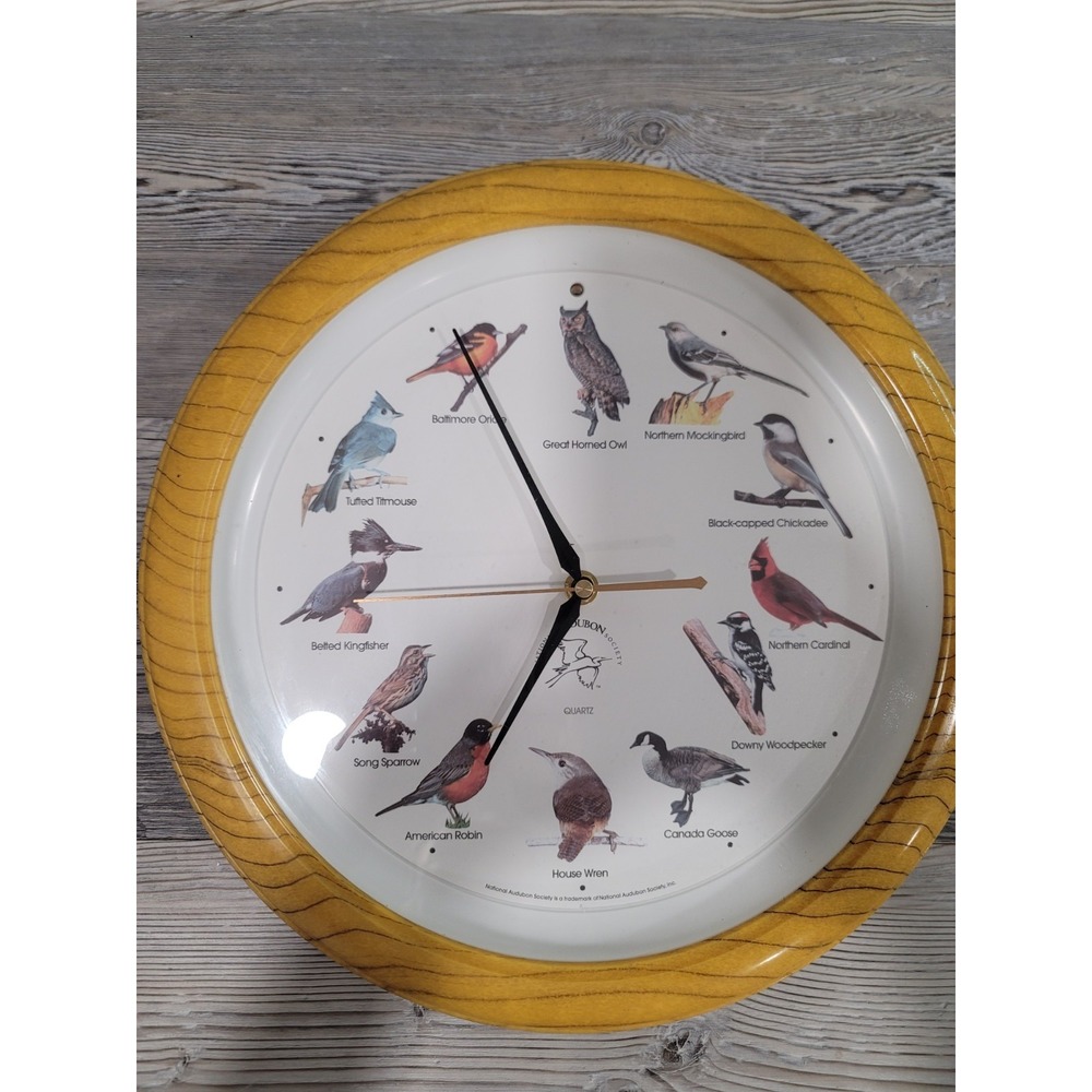 VTG 90's national audubon society bird clock north american birds. Works good